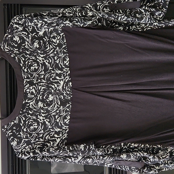 Daniel Rainn - Picture 4 of 7